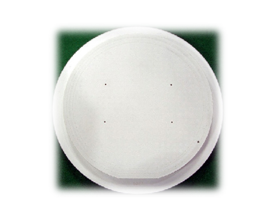 Ceramic ESC (Coating)